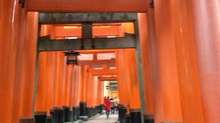 圧巻の鳥居です