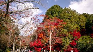 桜が有名ですが、紅葉も楽しめる