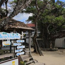 マリンスポーツもいろいろ