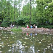 上海の真ん中にある公園