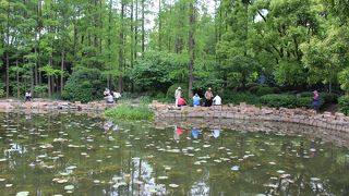 上海の真ん中にある公園