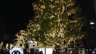 イルミネーションがきれい