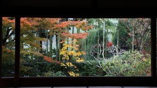 額縁のもみじです