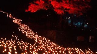 今まで知らなかったのが悔やまれる