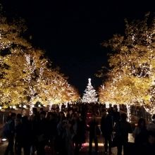 シャンデリア側からです