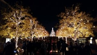 イルミネーション