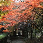 京都紅葉の穴場です