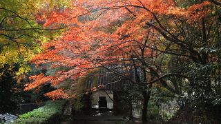 京都紅葉の穴場です