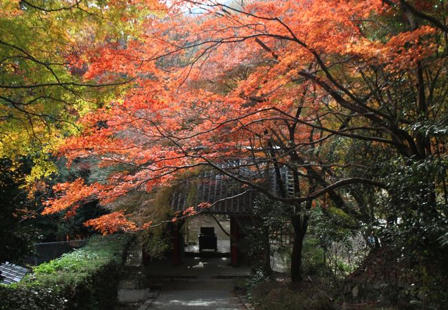 京都紅葉の穴場です