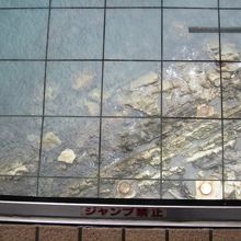 渦が発生してない海だって綺麗なんです。