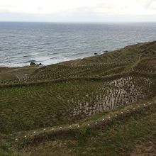 下まで降りられるようになっていました。