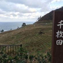 観光用に階段が整備されています。