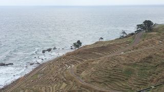 海に面した棚田です。