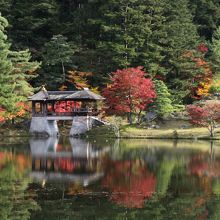 水面に映るもみじが幻想的
