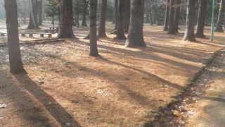 紅葉が終わり深秋の公園