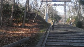 寒空でも多くの参拝者が訪れていました