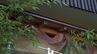 おいしくて新鮮