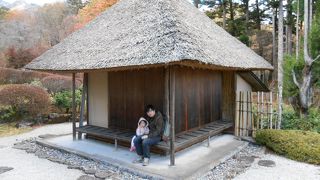 大きい池が真ん中にあり、のんびり過ごせます