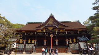 今度は梅の時期に伺いたい