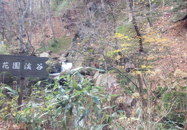 花園渓谷 クチコミ アクセス 営業時間 北茨城 磯原 フォートラベル 花園渓谷 クチコミ アクセス 営業時間 北茨城 磯原 フォートラベル