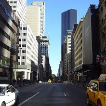 5番街横断中に撮影