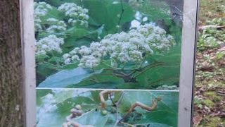 アクセスは少し不便ですが、ウォーキングを兼ねてお出かけください