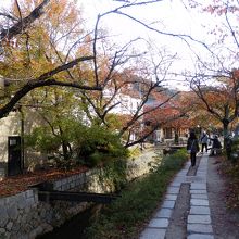 これぞ哲学の道です。