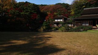 ふすまの絵などが素晴らしい