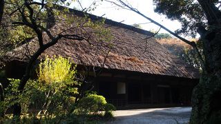 非常に大きな合掌造りです