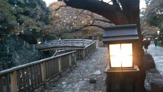 ライトアップは暗めなので昼間の方がいいかも