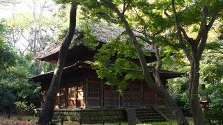 縁切り寺で有名な鎌倉のお寺の仏殿