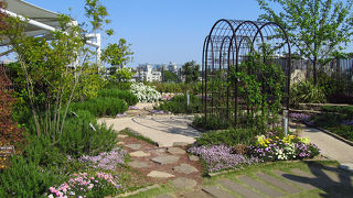 コンパクトな屋上庭園
