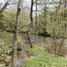 雪解け水も流れています。