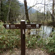 河童橋まで０．７?です。