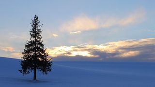 こんな景色見たことありませんでした。