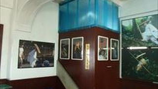 四季折々の写真が展示されていて、また、修験者の方の修業の様子が刻銘に記録として残っているので、お勧めの場所です。