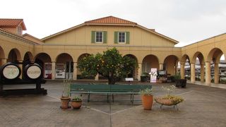 熊本でワインを買うなら熊本ワイン