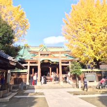 いつもお世話になっています！秋はイチョウが綺麗