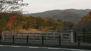 のんびりする雰囲気が好きです。