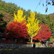 茅葺屋根と紅葉に癒されました