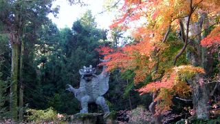 ちょうど紅葉の季節で一般観光客もたくさん来ていました