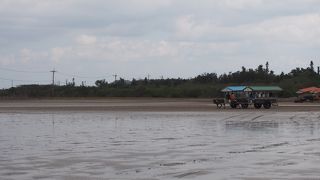 メインは水牛車