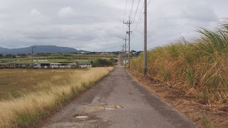 いかにも沖縄な景色