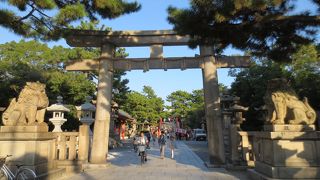 整然と社が並ぶ