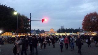 イチョウ並木がキレイ