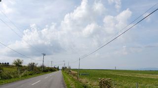 北海道らしい広大な牧場風景