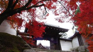 中よりも外側が好き ♪