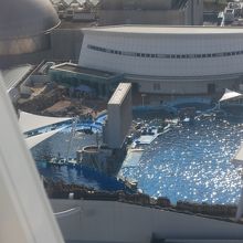 観覧車から見えたシャチです