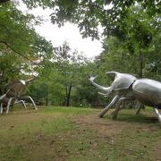 千畳敷登山のあとにゆっくり散歩を