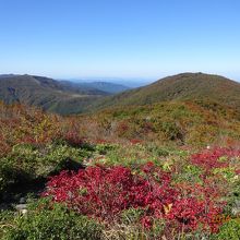 池の段からの比婆山